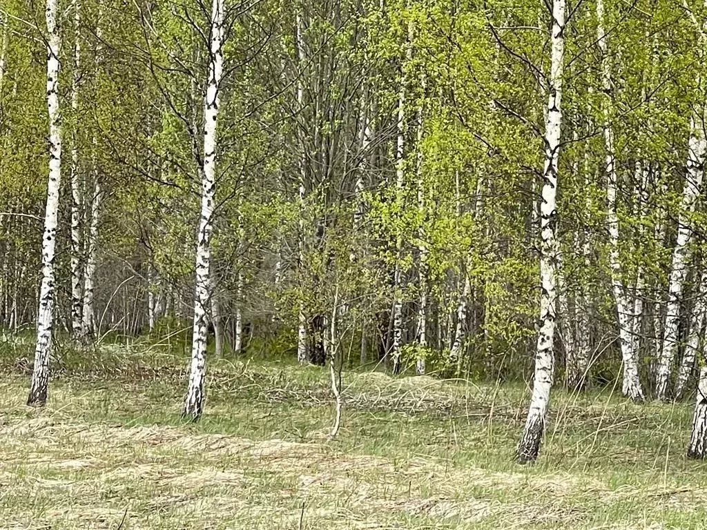 Участок 17,25 га (ИЖС) - Фото 1