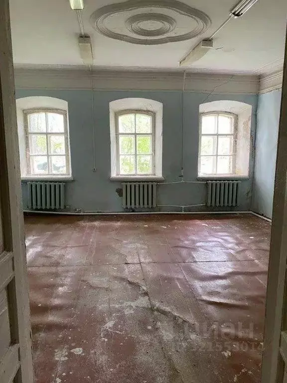 Помещение свободного назначения в Ярославская область, Угличский ... - Фото 0