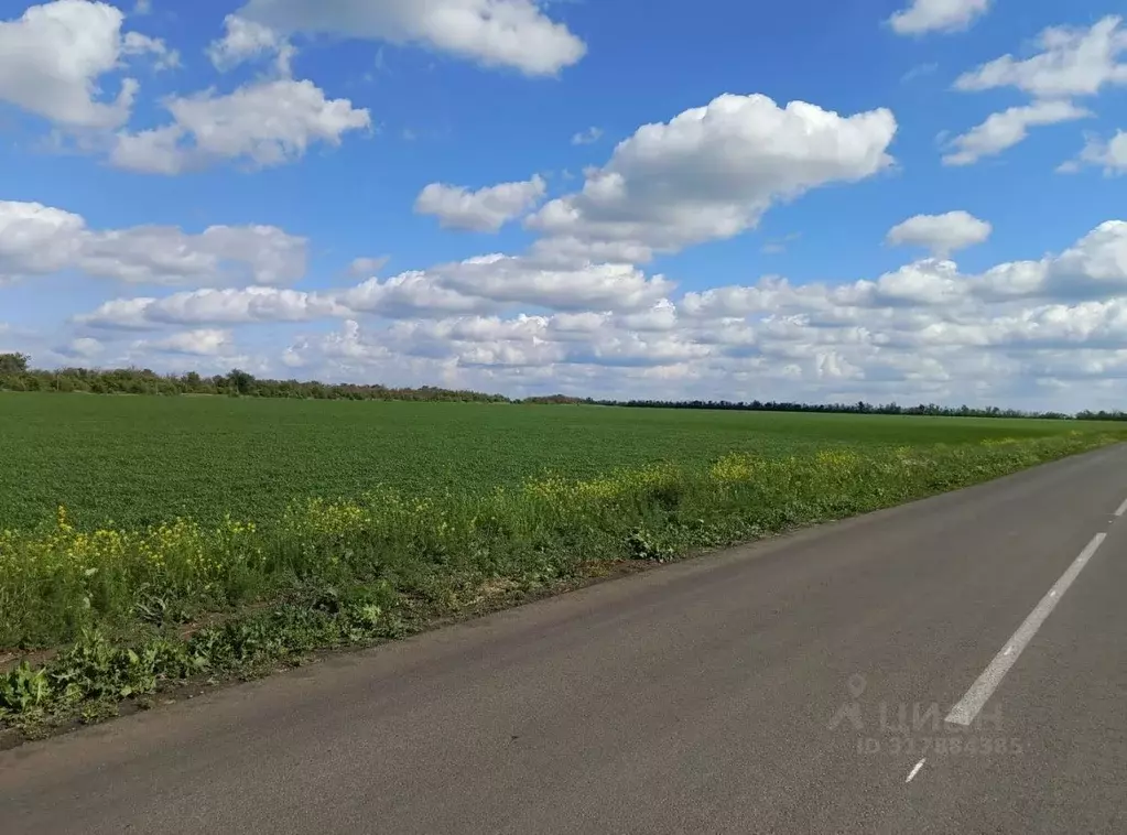 Участок в Ростовская область, Кагальницкий район, Мокробатайское ... - Фото 0