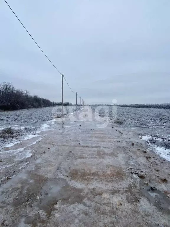 Участок в Ростовская область, Мясниковский район, Краснокрымское ... - Фото 1