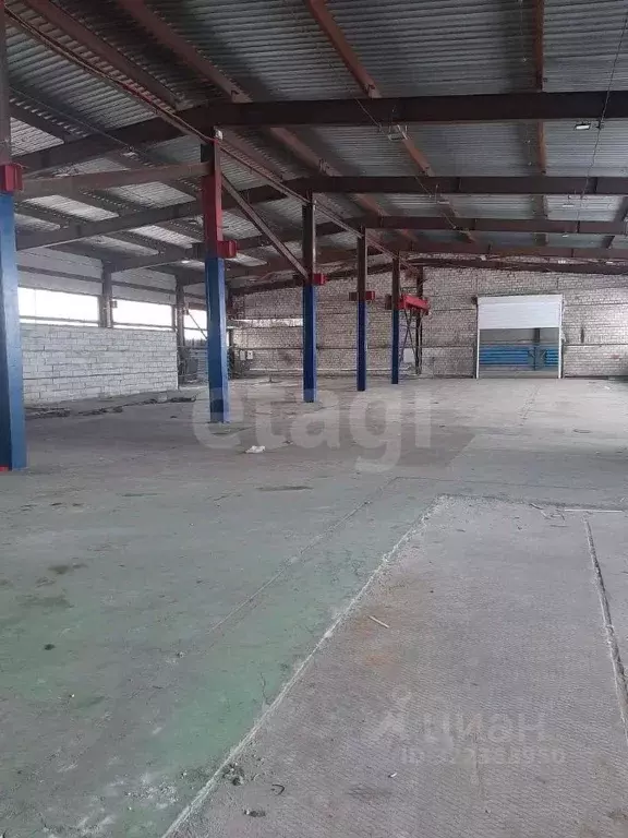 Склад в Ямало-Ненецкий АО, Новый Уренгой Таежная ул., 203/3 (1423 м) - Фото 2