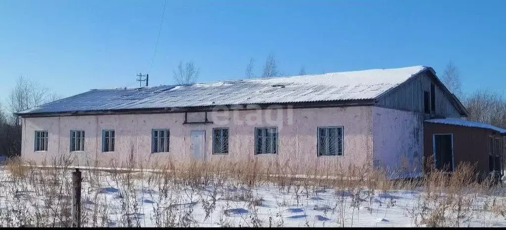 Дом в Хабаровский край, Комсомольский район, с. Новый Мир Лесная ул., ... - Фото 1