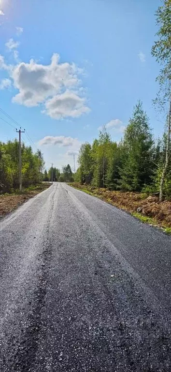 Участок в Московская область, Дмитровский городской округ, Икша рп ул. ... - Фото 1