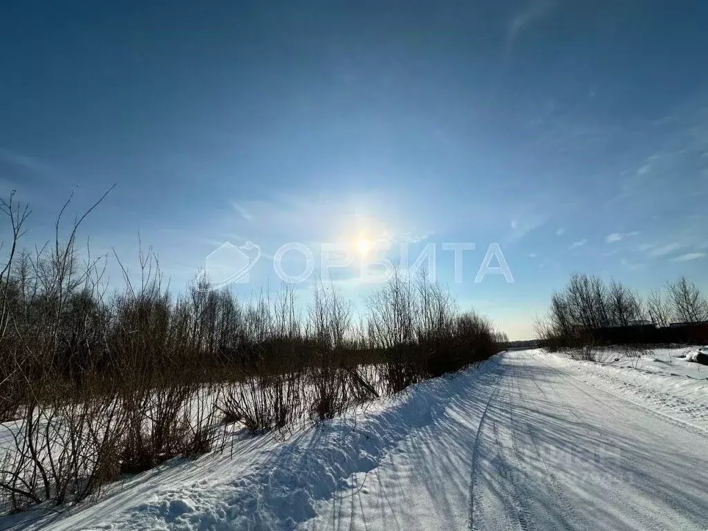 Участок в Тюменская область, Тюменский район, д. Пышминка Молодежная ... - Фото 1