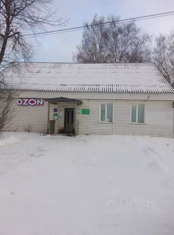 Помещение свободного назначения в Кировская область, Омутнинский ... - Фото 0