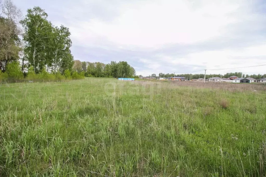 Участок в Алтайский край, Первомайский район, с. Фирсово ул. Кедровая ... - Фото 1