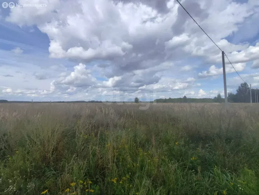 Участок в Владимирская область, Меленковский муниципальный округ, село ... - Фото 1