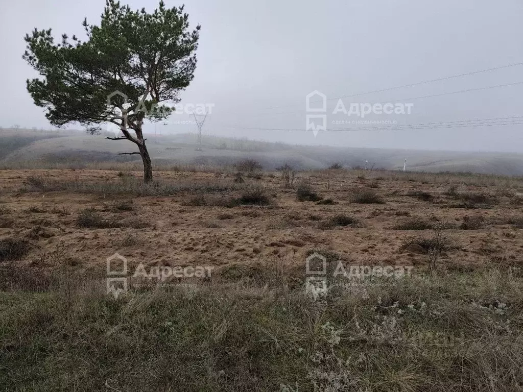 Участок в Волгоградская область, Городищенский район, Царицынское ... - Фото 2