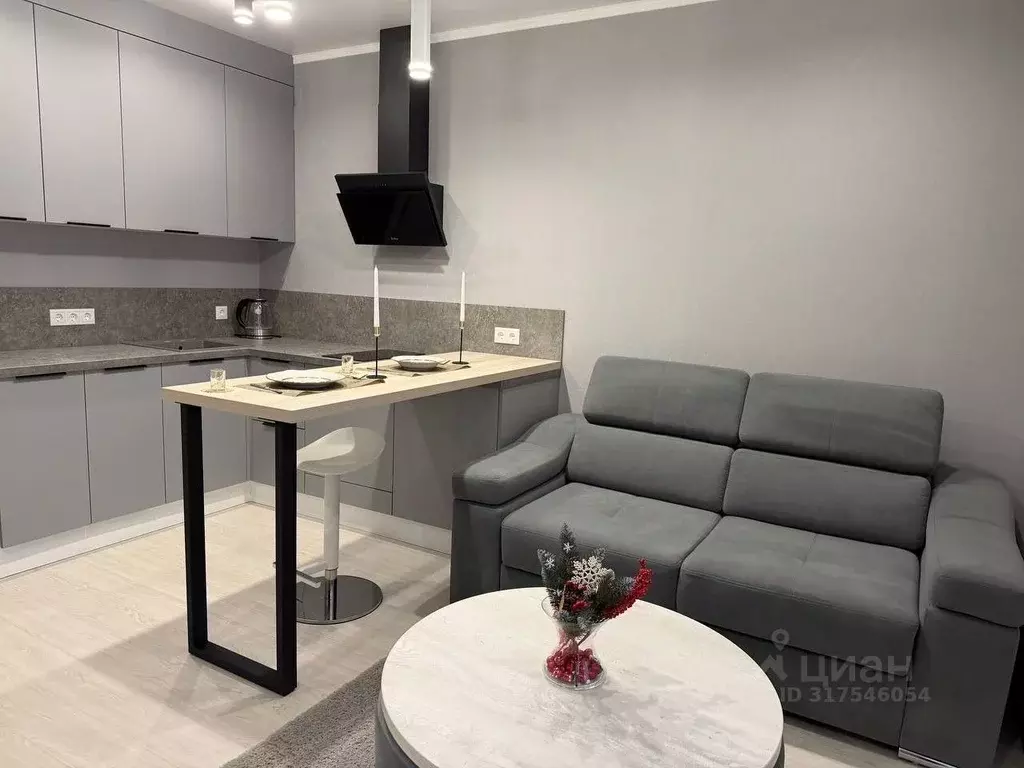 Студия Оренбургская область, Оренбургский район, пос. Пригородный ... - Фото 1