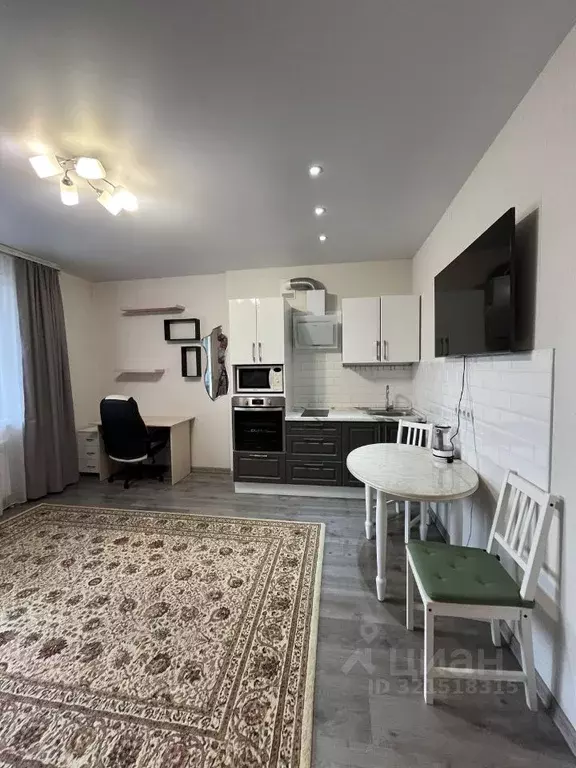 Студия Алтайский край, Барнаул Партизанская ул., 149 (29.0 м) - Фото 1