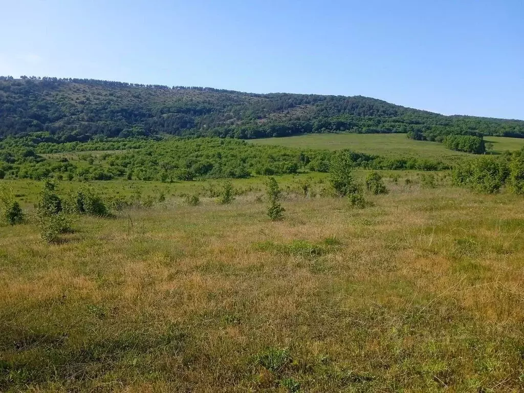 Участок в Севастополь с. Широкое, ул. Булгакова (430.0 сот.) - Фото 1