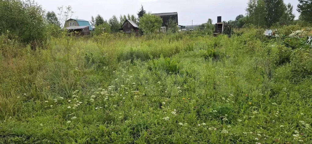 Участок 6 сот. (СНТ, ДНП) - Фото 0