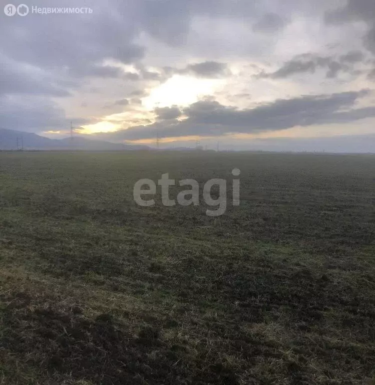 Участок в Кировский район, село Абрикосовка (254.8 м) - Фото 1