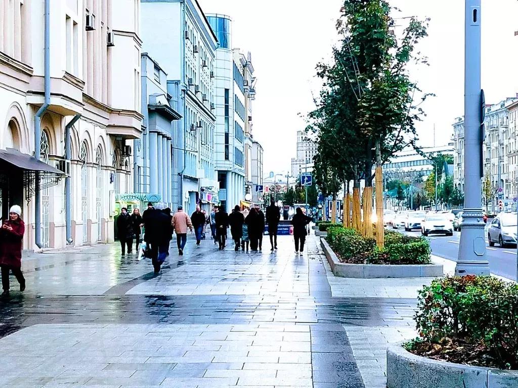 Помещение свободного назначения в Москва Большая Садовая ул., 6С2 (243 ... - Фото 1