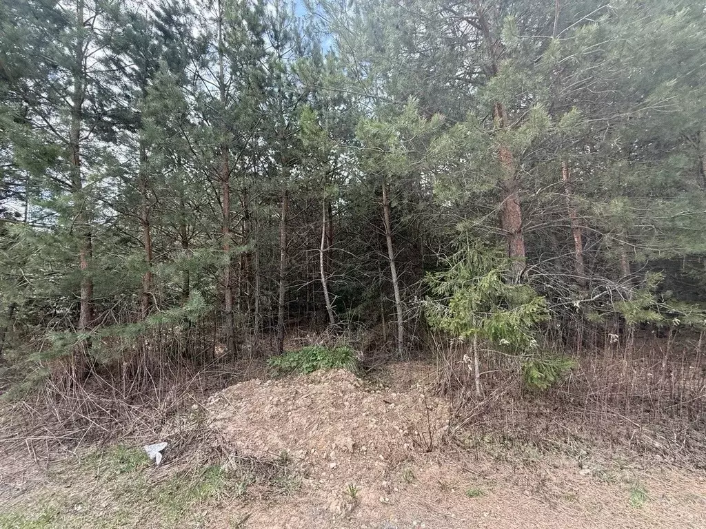Участок в Московская область, Одинцовский городской округ, д. ... - Фото 1