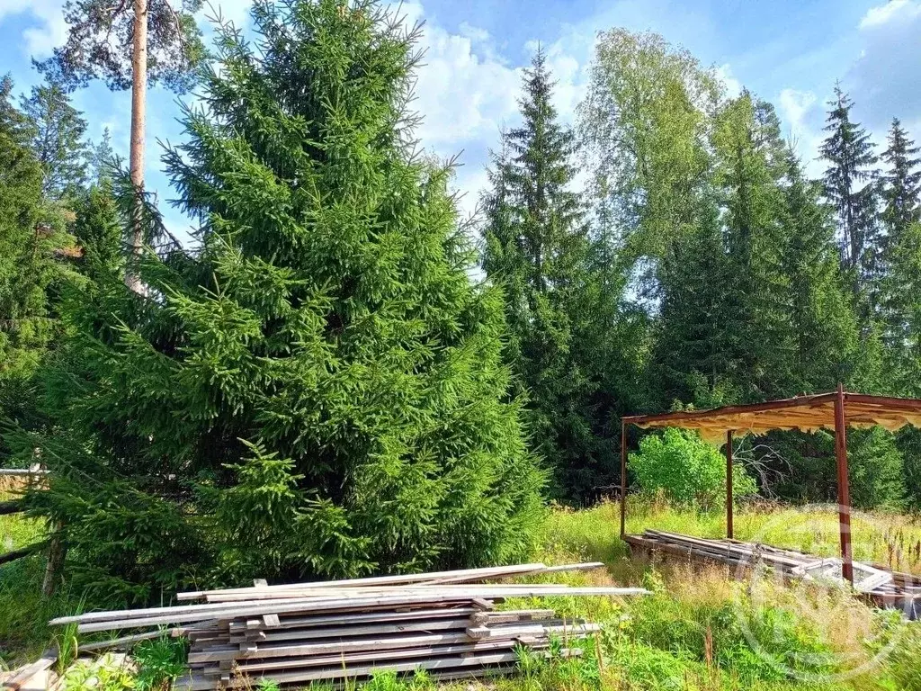 Участок в Ленинградская область, Выборгский район, Красносельское ... - Фото 0