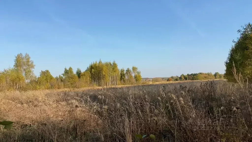 Участок в Московская область, Кашира городской округ, д. Никулино  ... - Фото 1