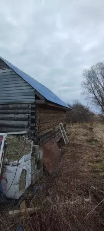Участок в Новгородская область, Шимское городское поселение, д. Мстонь ... - Фото 1