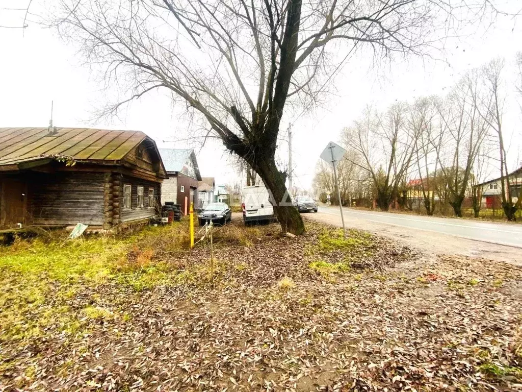 Участок в Владимирская область, Суздальский район, Селецкое ... - Фото 2