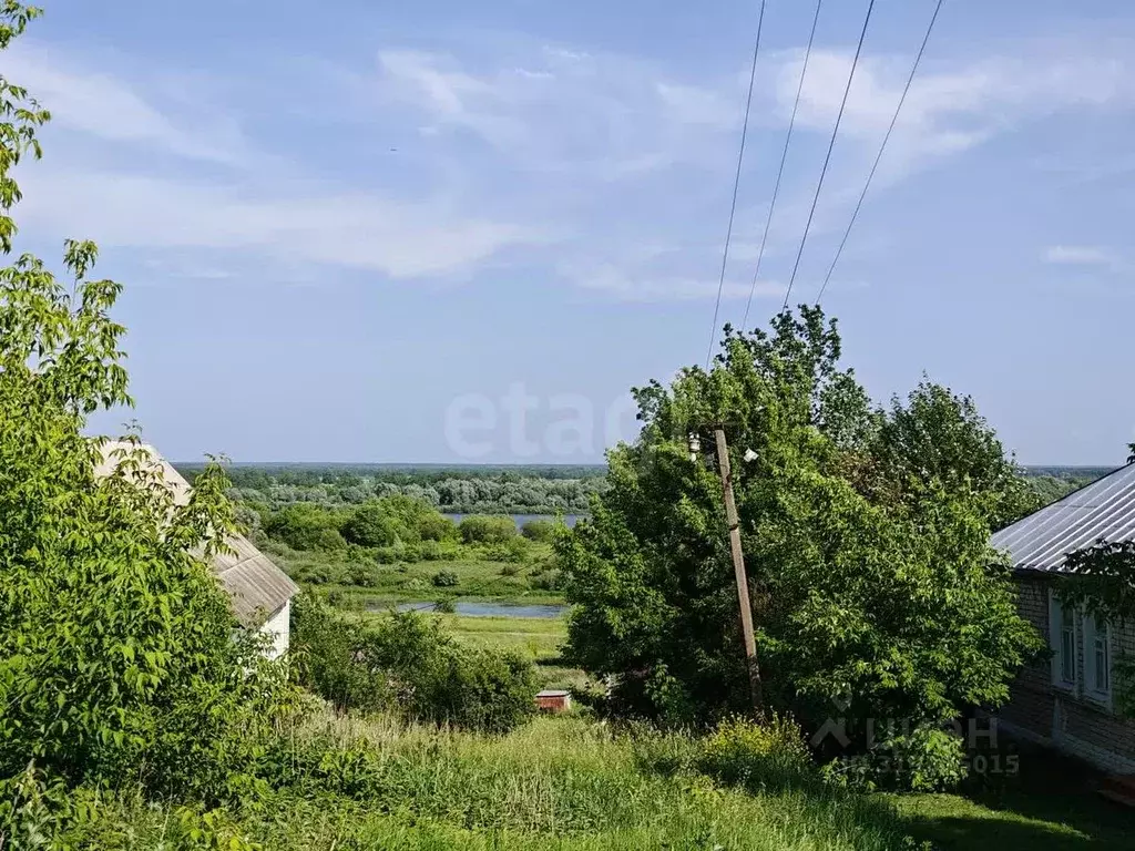Дом в Владимирская область, Муром с. Панфилово, ул. Набережная, 40 (84 ... - Фото 1
