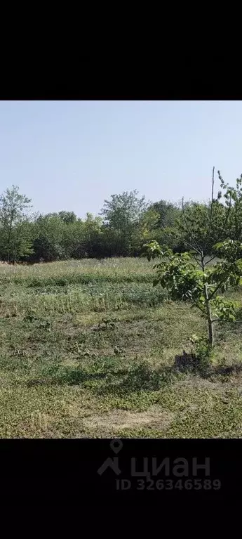 Участок в Краснодарский край, Тимашевск Строитель СОТ, 129 (5.0 сот.) - Фото 1