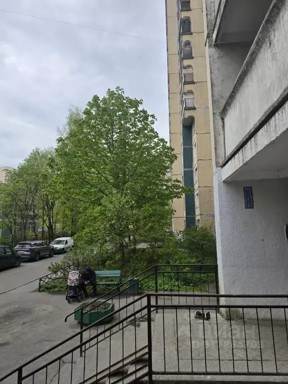 1-к кв. Санкт-Петербург ул. Осипенко, 3 (30.5 м) - Фото 0