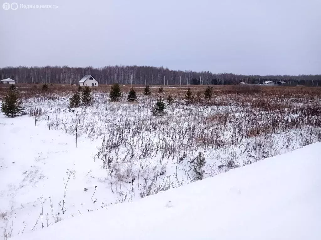 Участок в Тюменский муниципальный округ, Каменское муниципальное ... - Фото 2