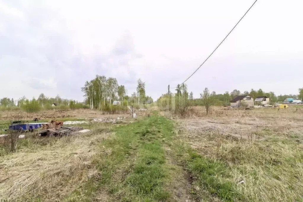 Участок в Тюменская область, Нижнетавдинский район, Сочинские СНТ 33-я ... - Фото 1
