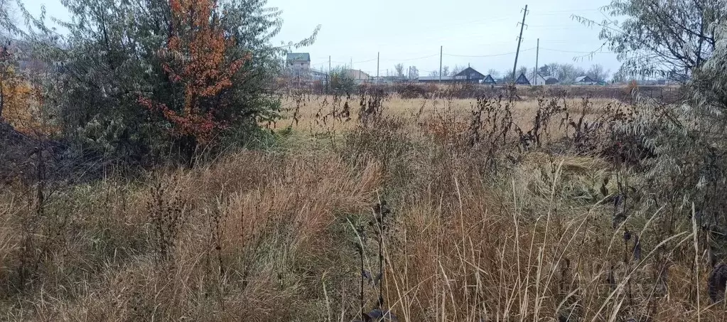 Участок в Саратовская область, Хвалынск  (12.0 сот.) - Фото 2