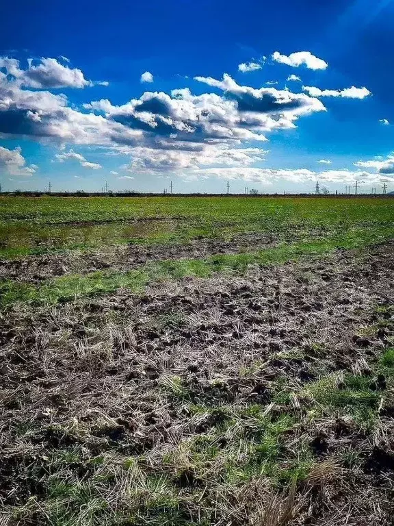 Участок 1,5 га (СНТ, ДНП) - Фото 0