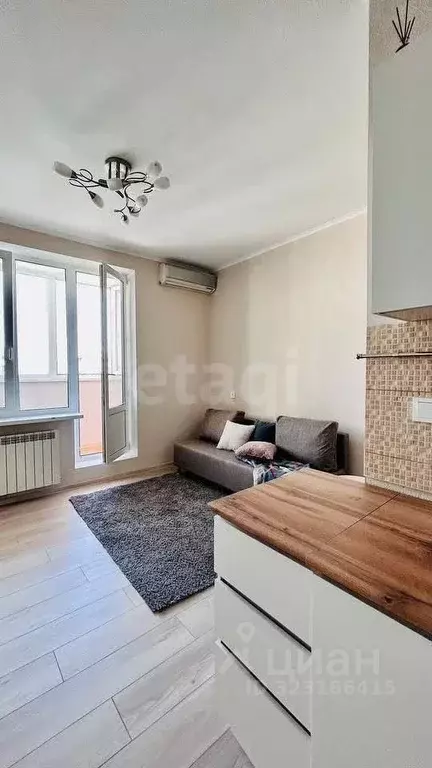 Студия Ростовская область, Ростов-на-Дону ул. Жданова, 1/5 (25.0 м) - Фото 2