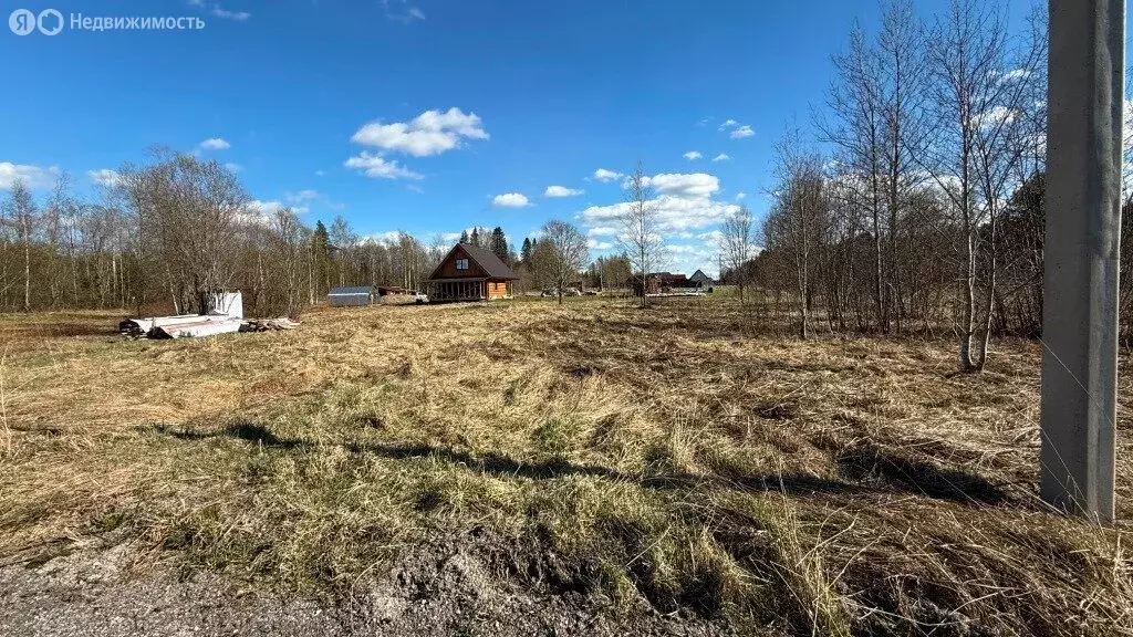 Участок в Приозерский район, Кузнечнинское городское поселение, СНТ ... - Фото 2