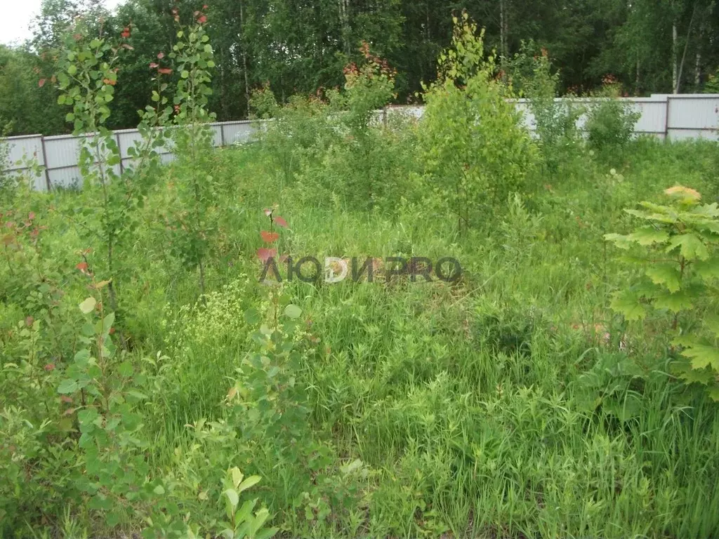 Участок в Тверская область, Калининский муниципальный округ, д. ... - Фото 2