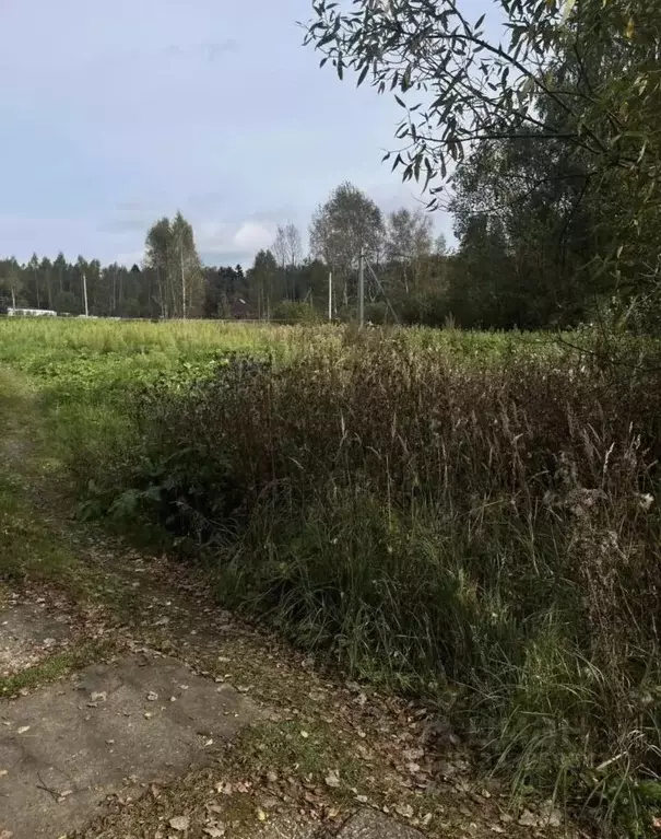Участок в Московская область, Рузский муниципальный округ, пос. ... - Фото 1