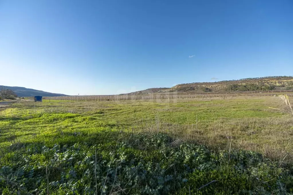 Участок в Крым, Бахчисарайский район, с. Долинное  (117.22 сот.) - Фото 1