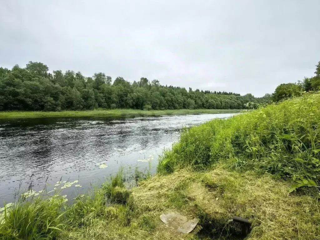 Участок в Ленинградская область, Волховский район, Колчановское с/пос, ... - Фото 1
