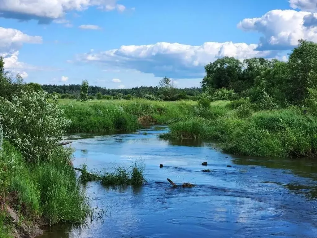 Дом в Владимирская область, Киржачский район, Филипповское ... - Фото 0