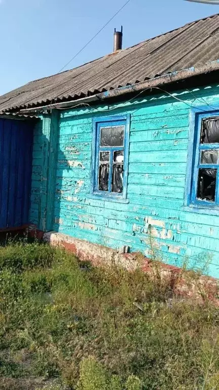 Дом в Белгородская область, Борисовский район, Хотмыжское с/пос, Отруб ... - Фото 2