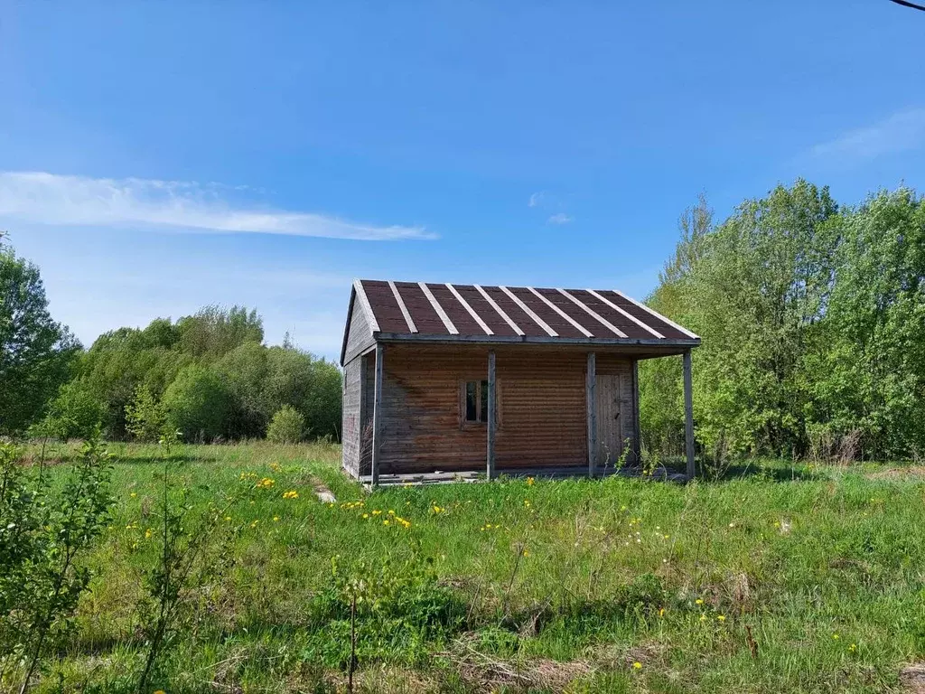 Участок в Ленинградская область, Выборгский район, Красносельское ... - Фото 1