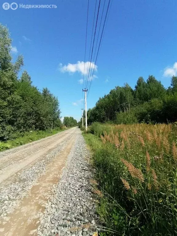 Участок в Краснокамский городской округ, посёлок Ласьва, Лесная улица ... - Фото 0