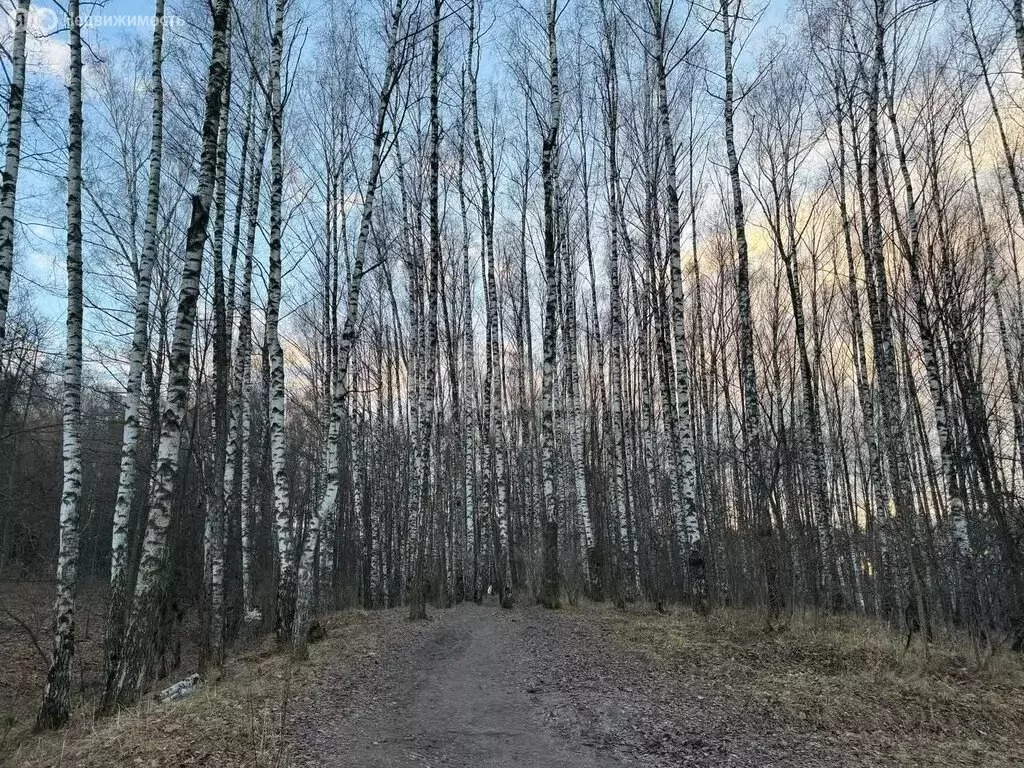 Участок в посёлок Скуратовский, посёлок Комсомольский, Центральный ... - Фото 1