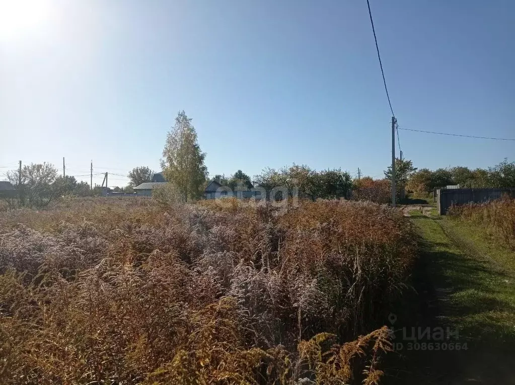 Участок в Брянская область, Брянский район, Добрунское с/пос, д. ... - Фото 2