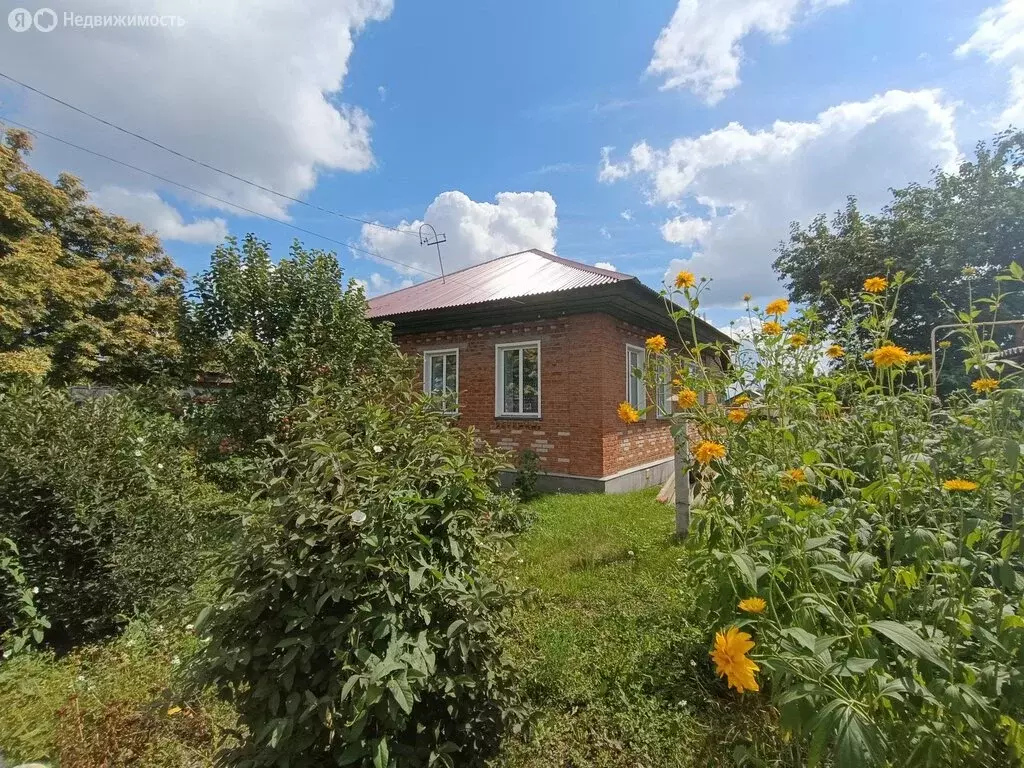 Дом в Болотное, Транспортная улица, 9 (60 м) - Фото 1