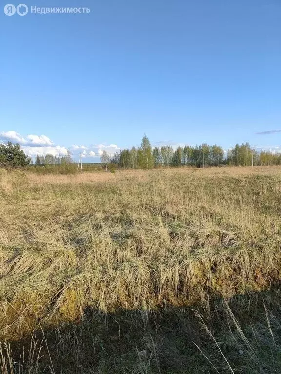 Участок в Ярославский муниципальный округ, деревня Тимохино (11 м) - Фото 1