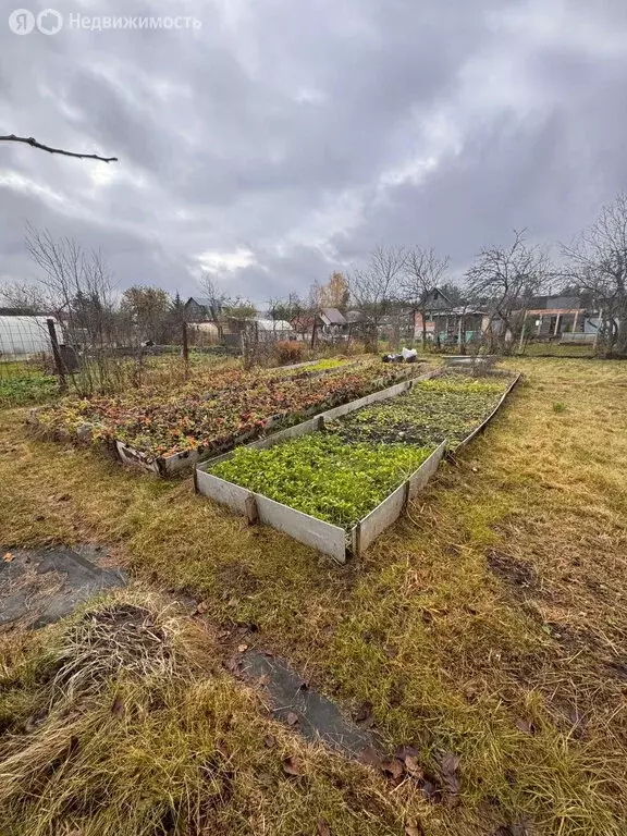 Дом в Новгородский район, Ермолинское сельское поселение, деревня ... - Фото 1