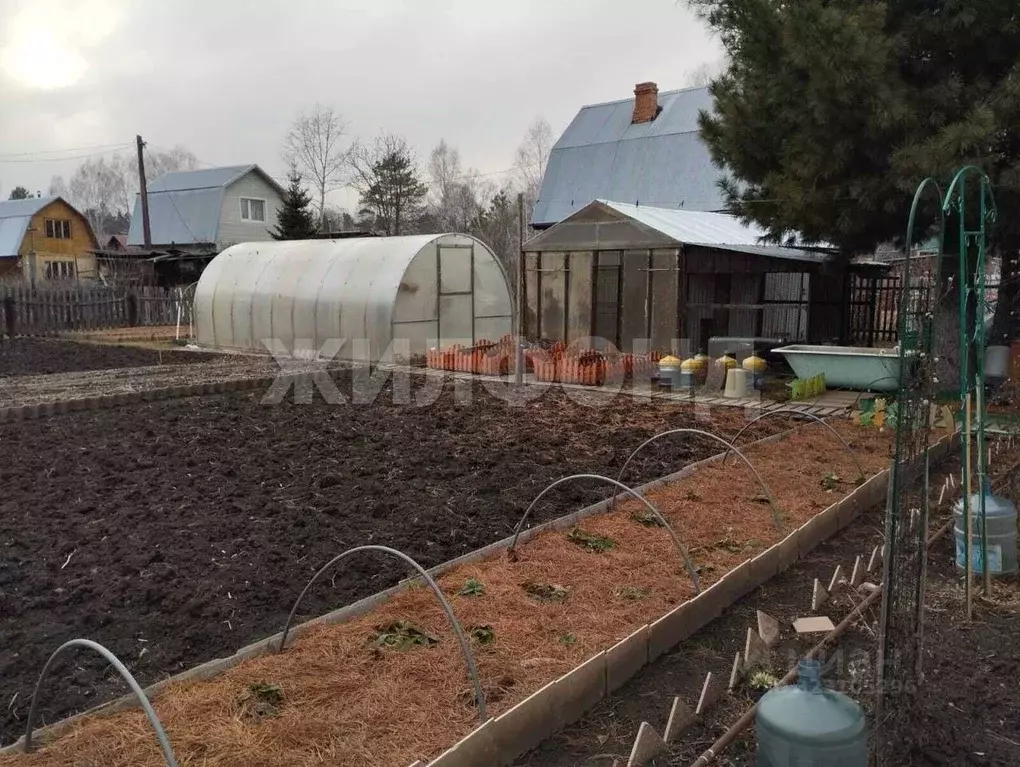 Дом в Новосибирская область, Новосибирский район, Каменский сельсовет, ... - Фото 2