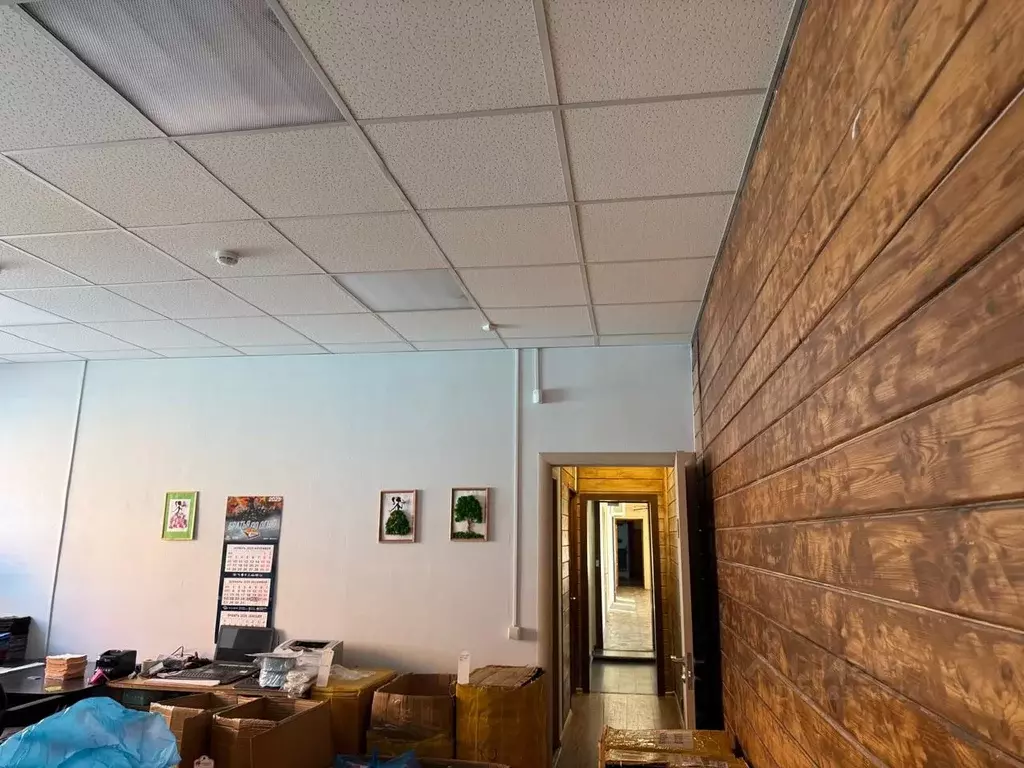 Помещение свободного назначения в Московская область, Мытищи ... - Фото 1