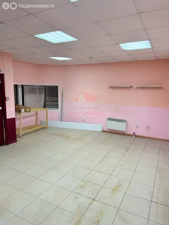 Торговая площадь (50.4 м) - Фото 1