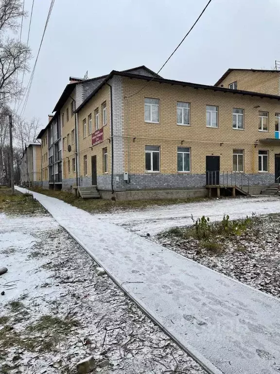 Помещение свободного назначения в Нижегородская область, Чкаловск ул. ... - Фото 0