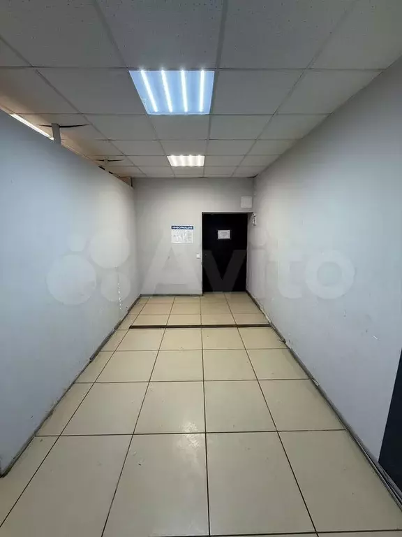 Свободного назначения, 50.5 м - Фото 1